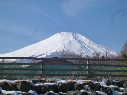 f0107145_1635477.jpg