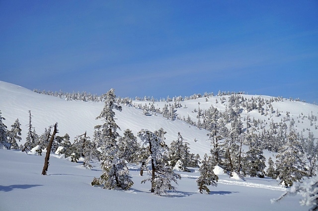 b0122448_21024708.jpg
