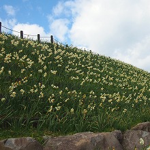 c0171349_9551350.jpg