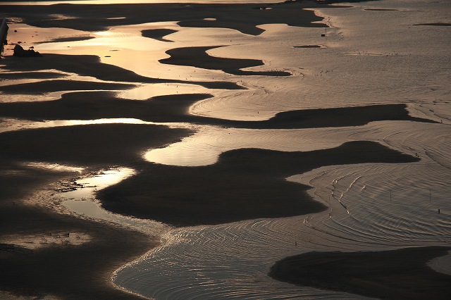 f0288049_965592.jpg