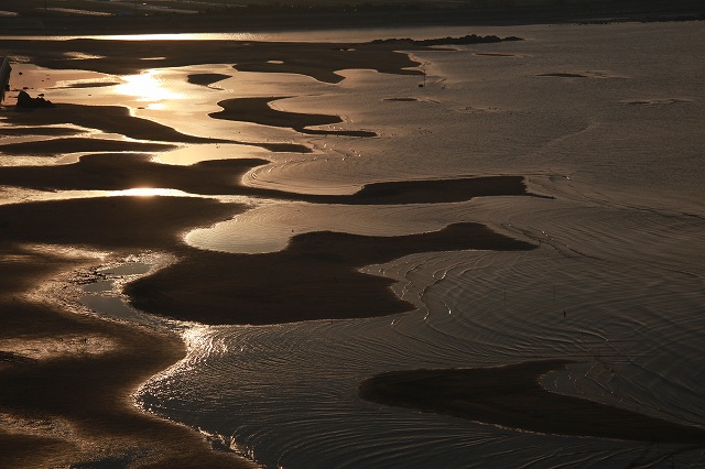 f0288049_972288.jpg