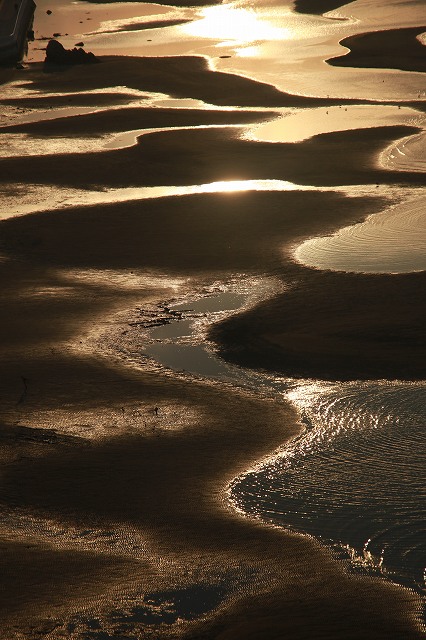 f0288049_973111.jpg