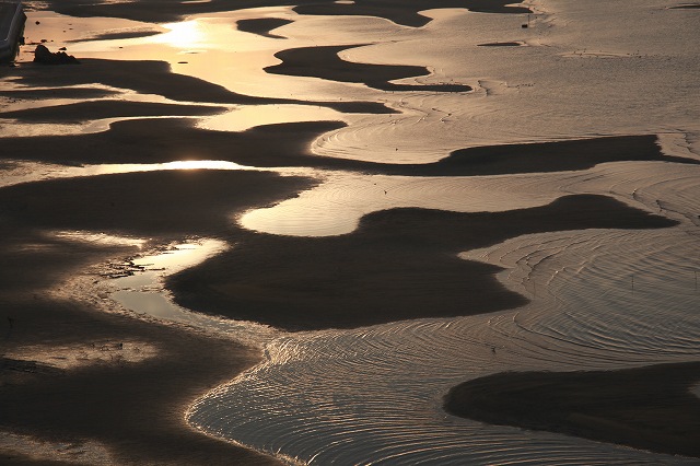 f0288049_97497.jpg