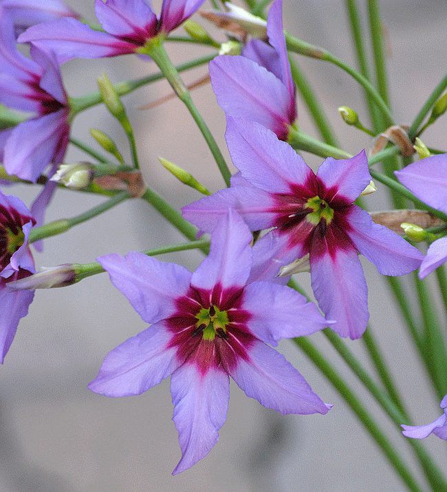 a0001354_22564221.gif