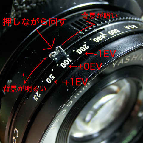 d0100156_13370873.jpg