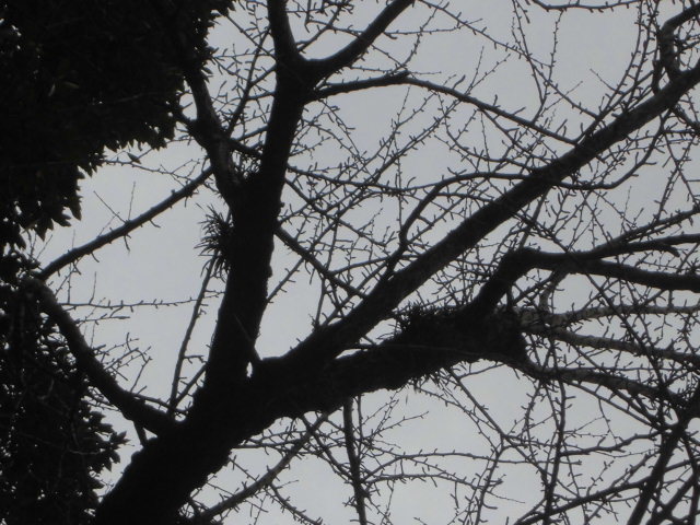 f0318967_20092529.jpg