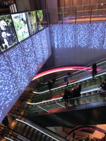 e0045768_2263845.jpg