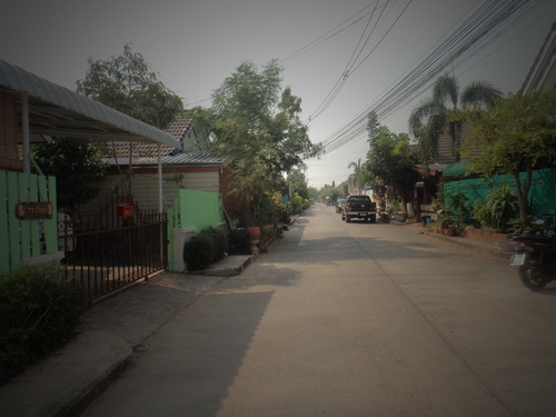 a0002177_15101040.jpg