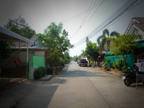 a0002177_1510546.jpg