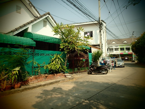 a0002177_15105676.jpg