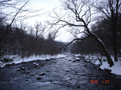 d0165378_826288.jpg