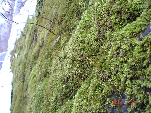 d0165378_8354641.jpg