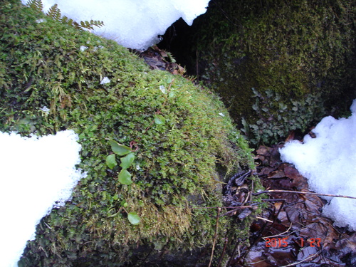 d0165378_8361485.jpg
