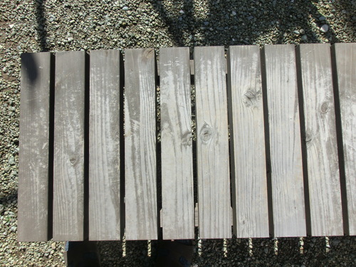 e0123587_2074940.jpg