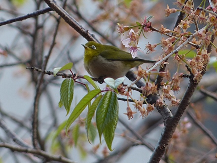 f0357487_2331037.jpg