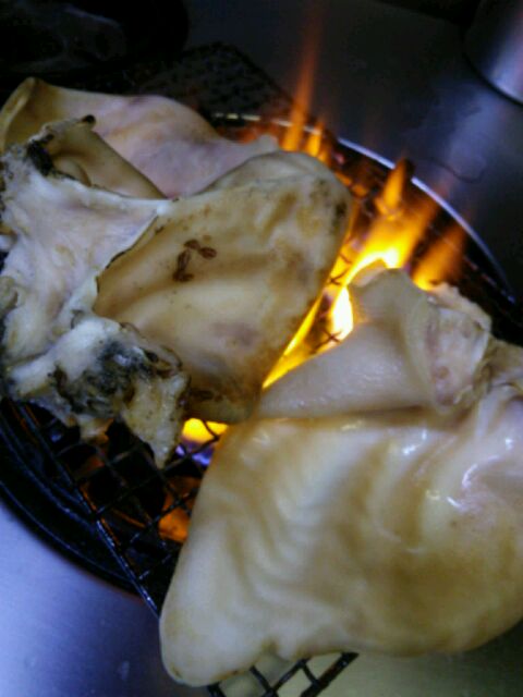 f0085291_21114963.jpg