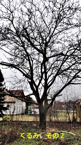f0053297_13474439.jpg