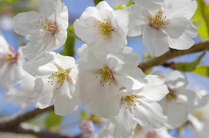 f0201297_716191.jpg