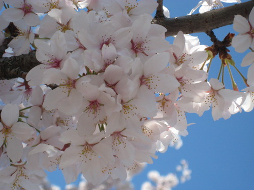 f0201297_794414.jpg