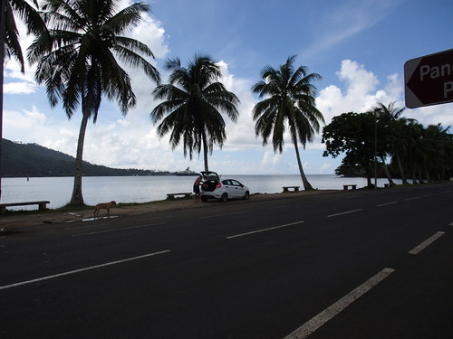 f0107398_20225383.jpg