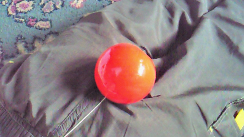 d0149105_805650.jpg