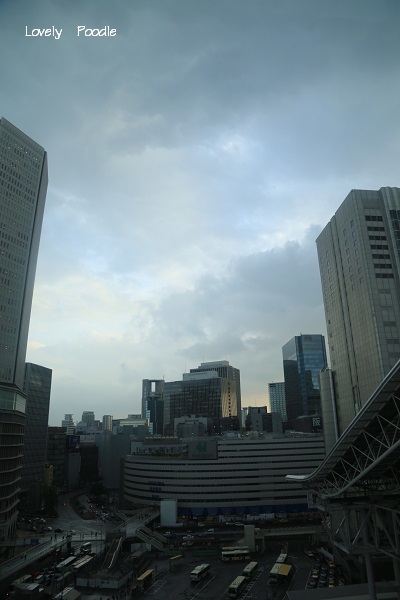 d0257606_18334828.jpg
