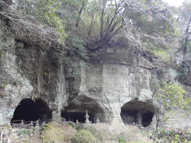 f0148927_224052.jpg