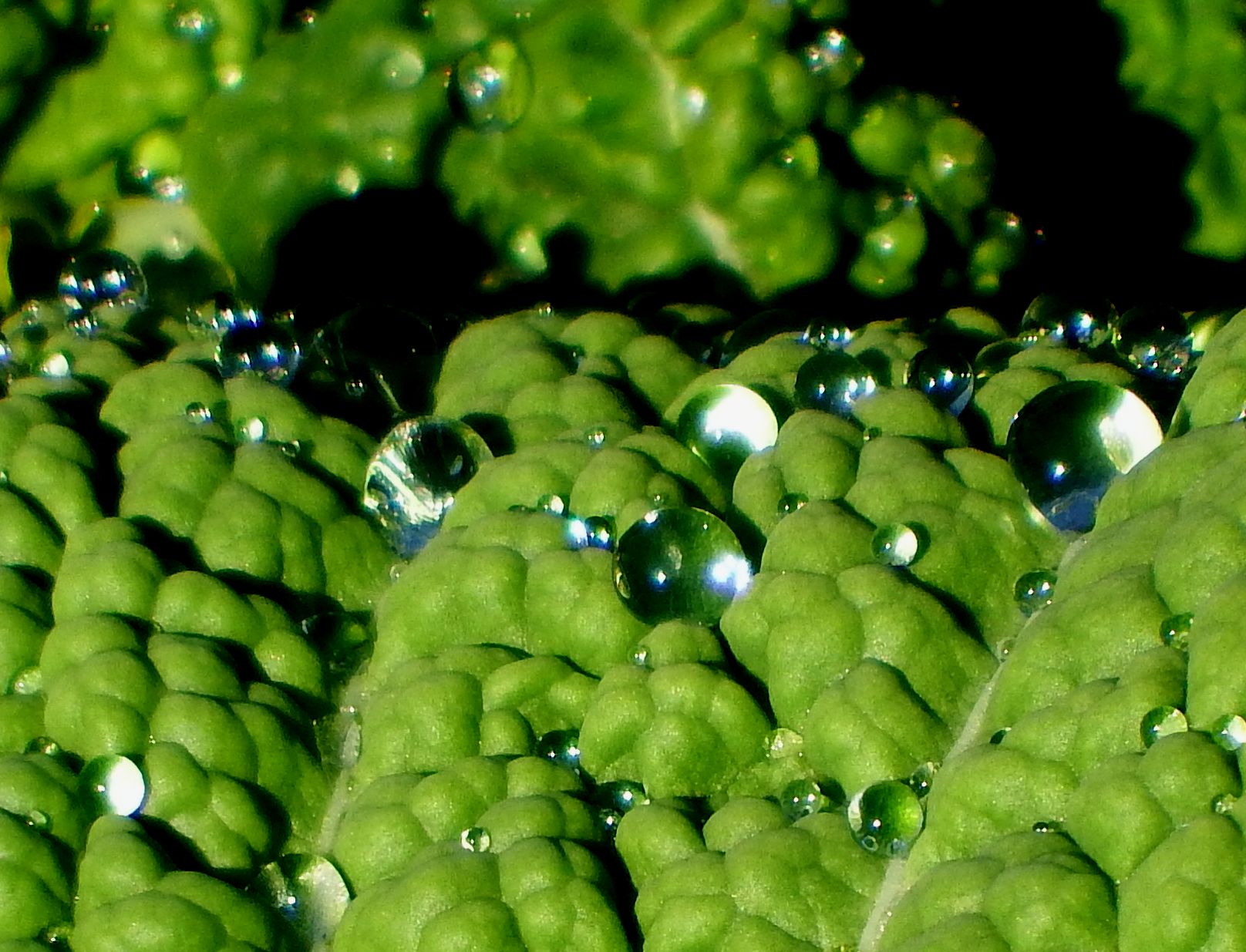 e0149934_201959100.jpg