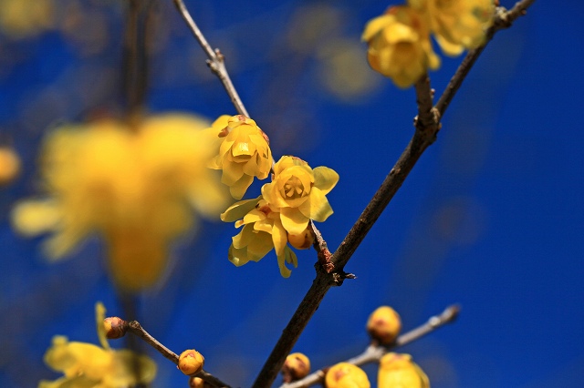 a0242438_18201371.jpg