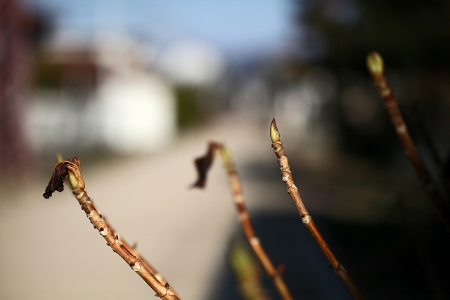 a0242438_1821179.jpg