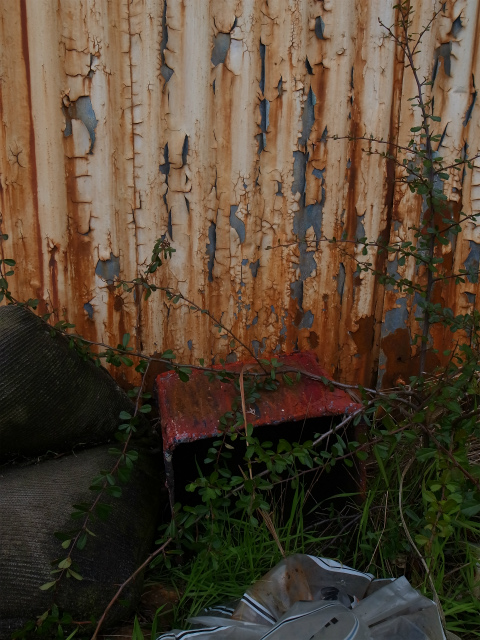 a0087341_20391780.jpg