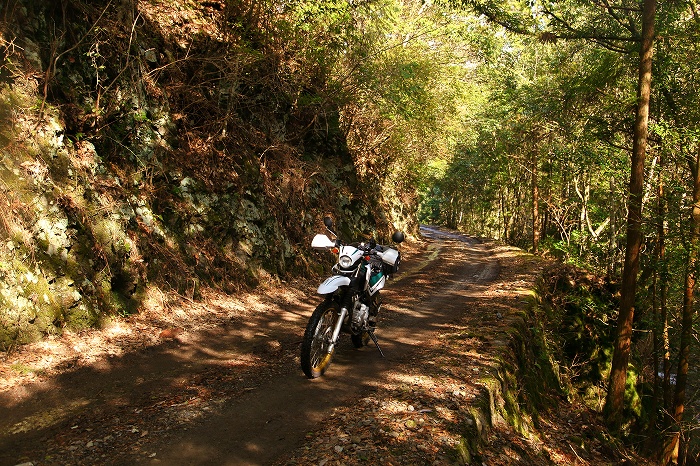 c0348553_2042868.jpg
