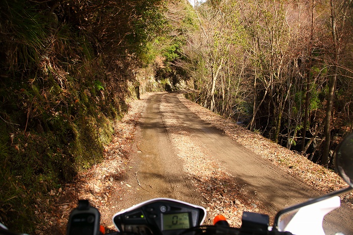c0348553_2043564.jpg