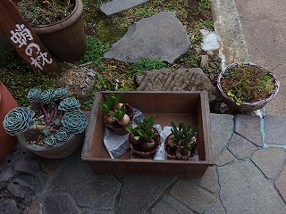 e0004756_21252171.jpg