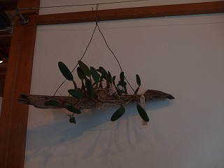 e0004756_21414897.jpg