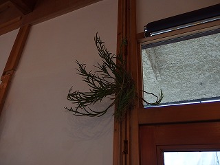 e0004756_21431022.jpg