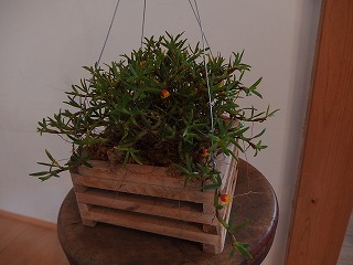 e0004756_21442011.jpg