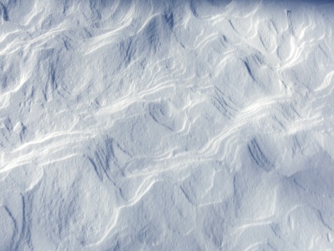 e0045768_224882.jpg