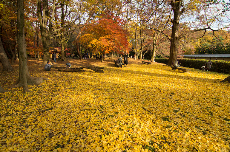 f0303870_22484998.jpg