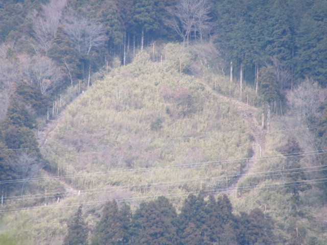 d0109373_2385152.jpg