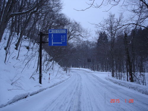 d0165378_16155544.jpg