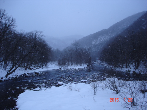 d0165378_1615599.jpg