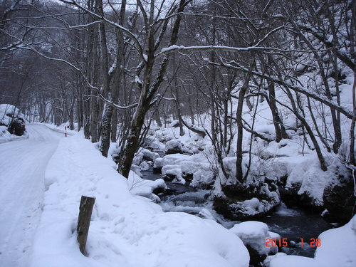 d0165378_16171349.jpg