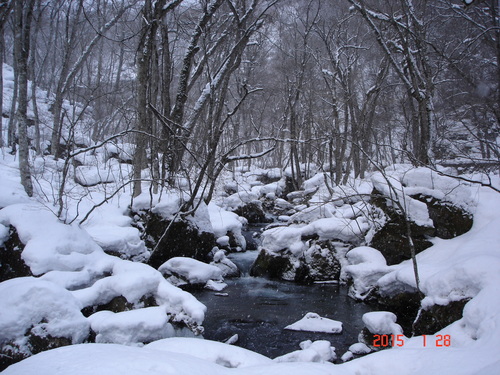 d0165378_16181931.jpg