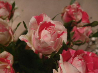 f0039281_2283738.jpg