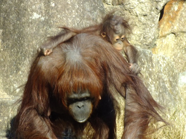 e0145782_19563930.jpg