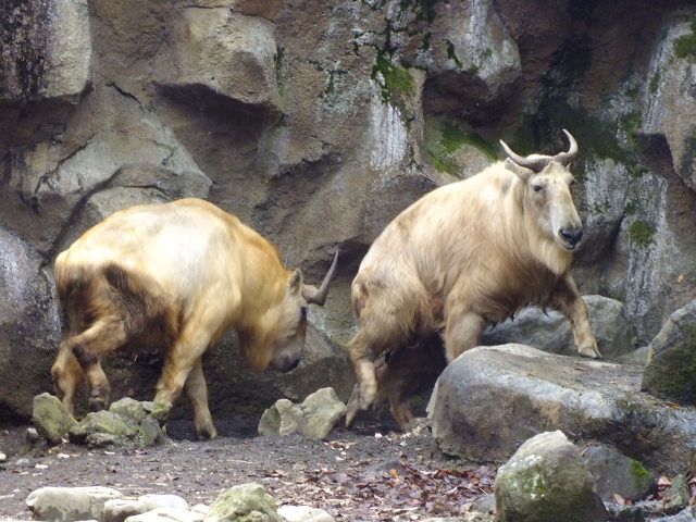e0145782_19591364.jpg