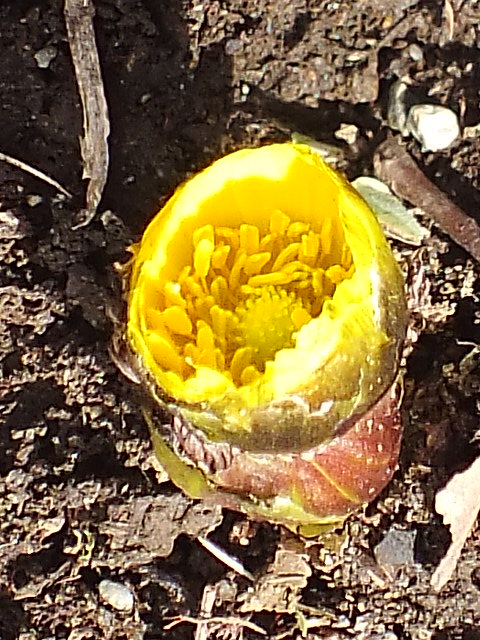 e0145782_2132255.jpg