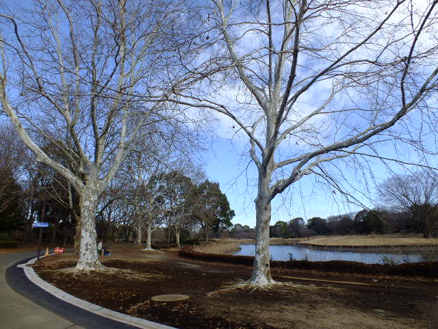 e0145782_2153880.jpg