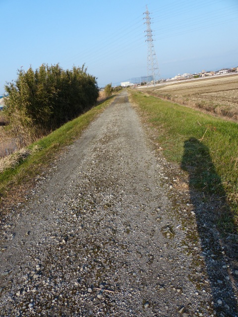 f0357487_2252164.jpg